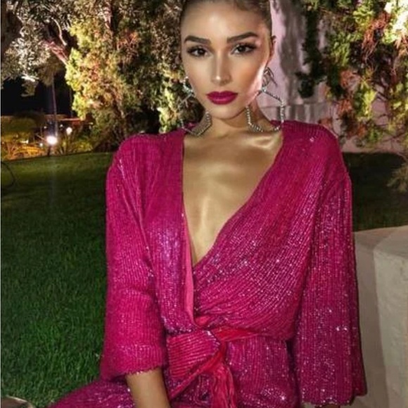 Retrofete Metallic Fuscia Sequins Gabrielle Robe Dress. Size XS. Worn once - Picture 3 of 3